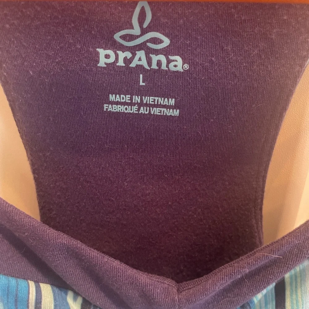 Prana read thoroughly